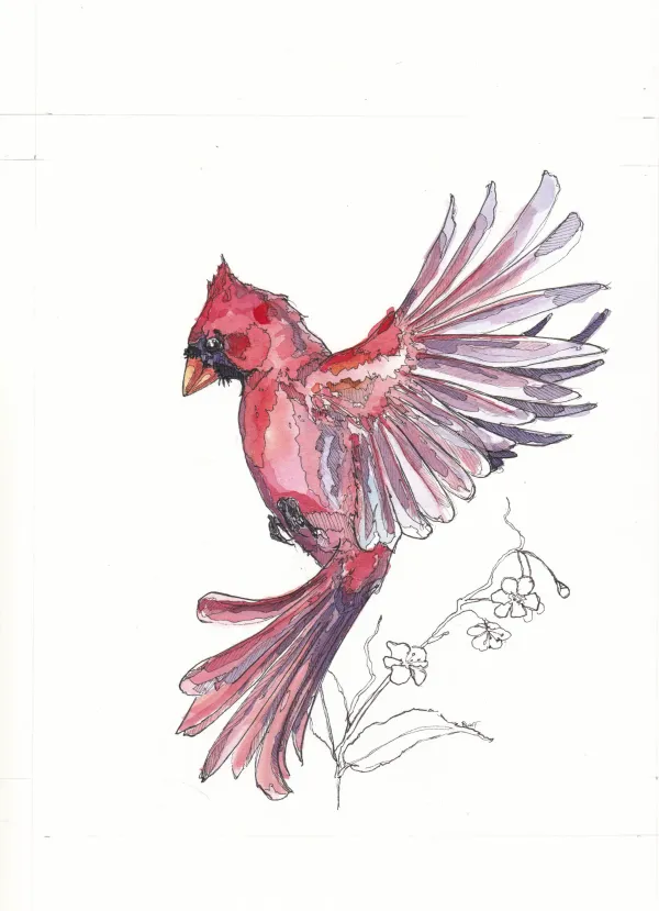 Cardinal Commission, Audrey