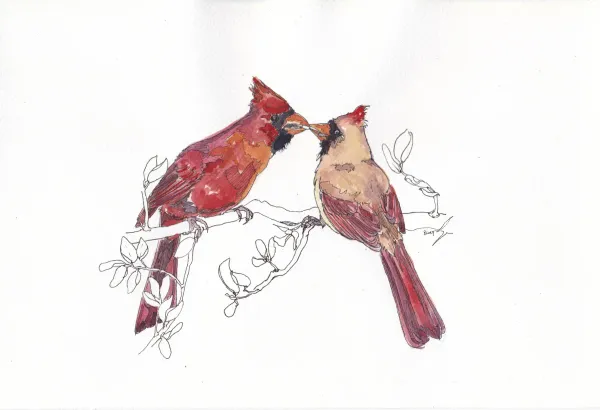 Cardinal Couple, Jan24