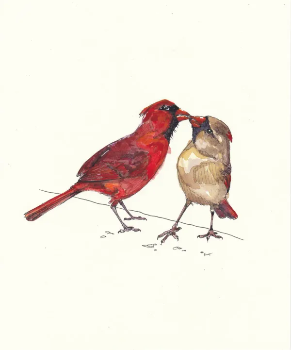 Cardinal Couple