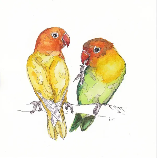 Lovebirds For Carrie Commissioned By Kate