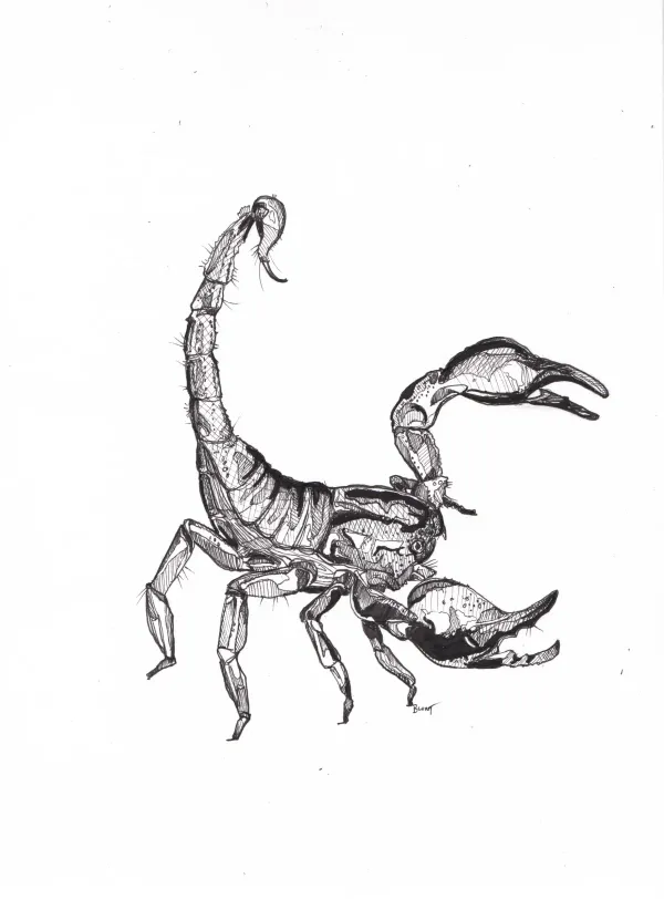 Mab's Drawloween 2024 Day 21