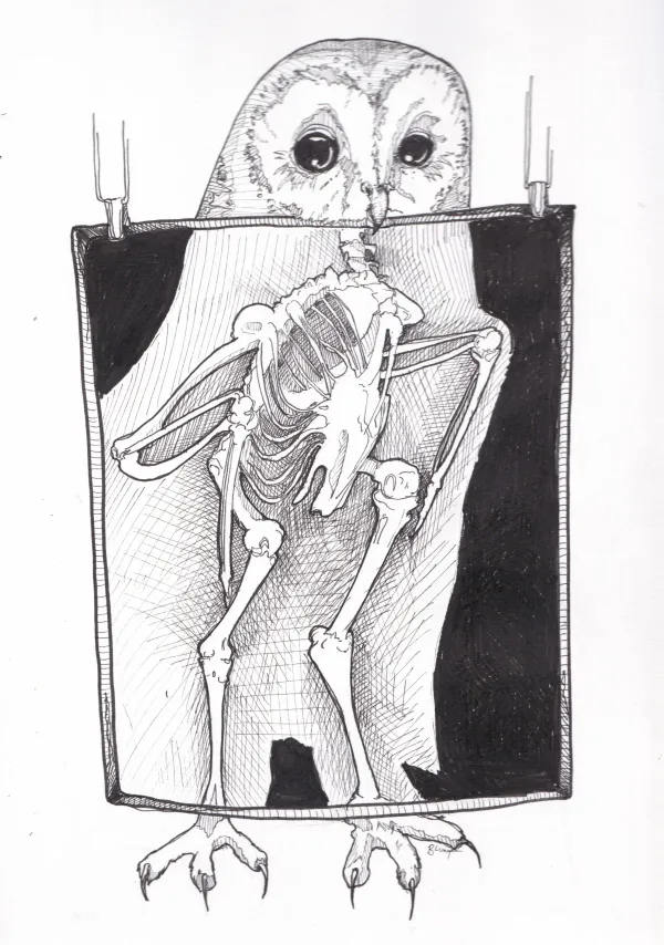 Mab's Drawloween 2024 Day 6