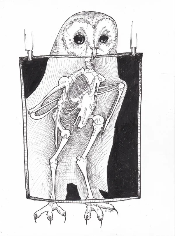 Mab's Drawloween 2024 Skeleton