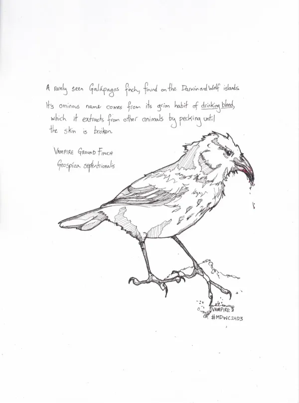 Mab's Drawloween 2024 Vampire