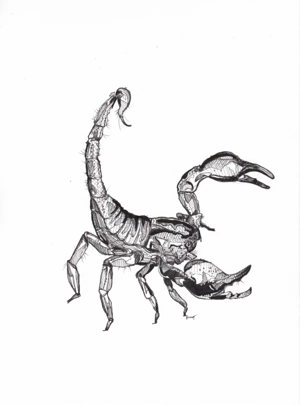 Mab's Drawloween 2024 Zodiac