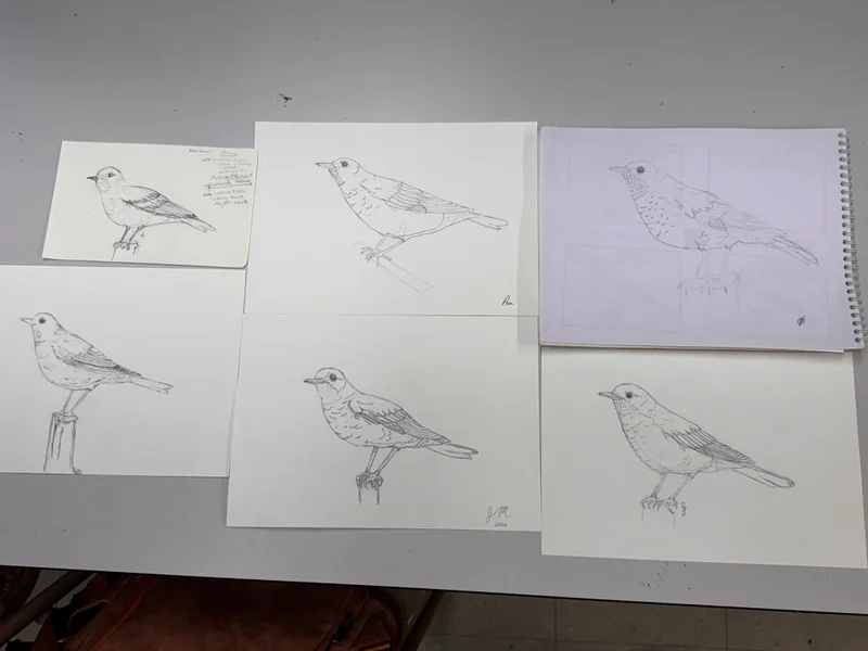 Teaching a Drawing Class at Homer Watson House and Gallery